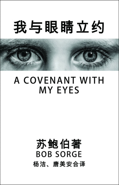 Chinese Translation ~ A Covenant With My Eyes eBook