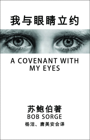Chinese Translation ~ A Covenant With My Eyes eBook