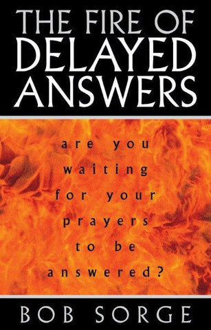 The Fire of Delayed Answers (eBook)