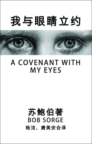 Chinese Translation ~ A Covenant With My Eyes ﻿eBook