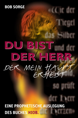 Pain, Perplexity and Promotion (German translation)