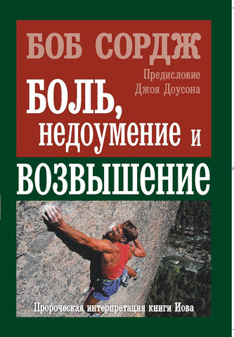 Pain, Perplexity and Promotion (Russian translation)
